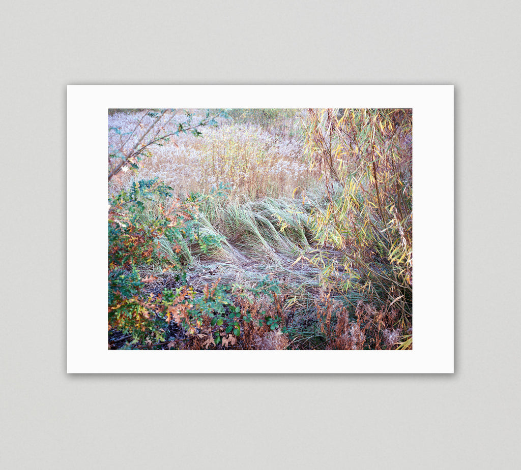 Collector's Edition + Print: Along the Hackney Canal