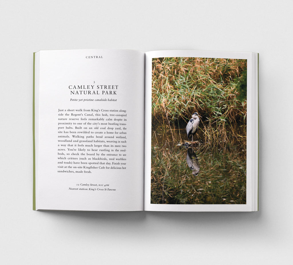 Pre-Order: An Opinionated Guide to Wild London