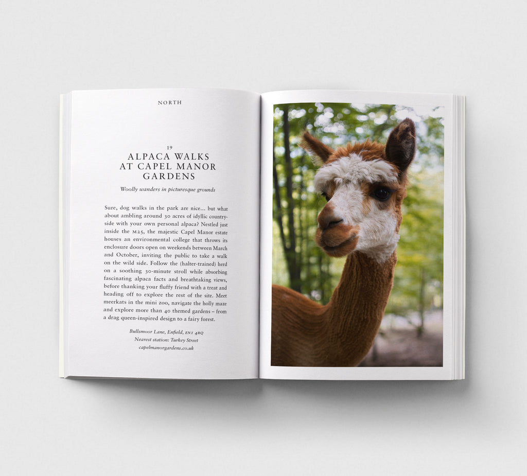 An Opinionated Guide to Fun London