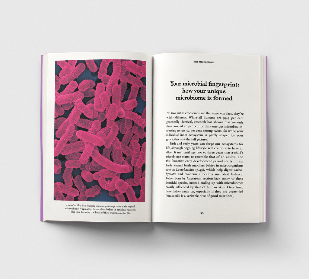The Gut, A Pocket Primer