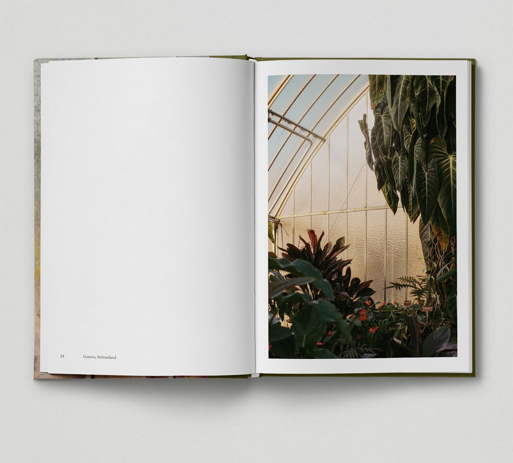 Botanical (Book 6: Tales from the City)