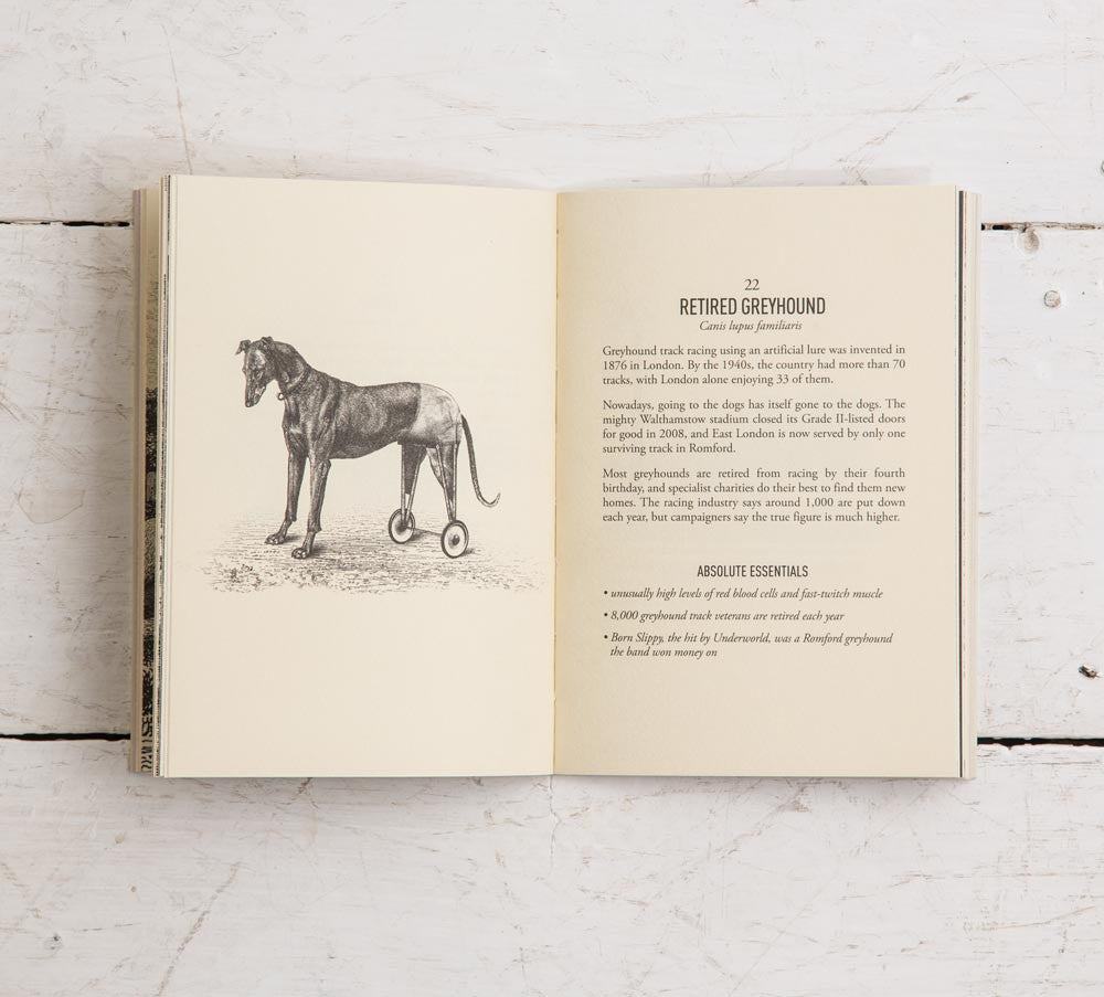 Collector's Edition 'A Field Guide to East London Wildlife'